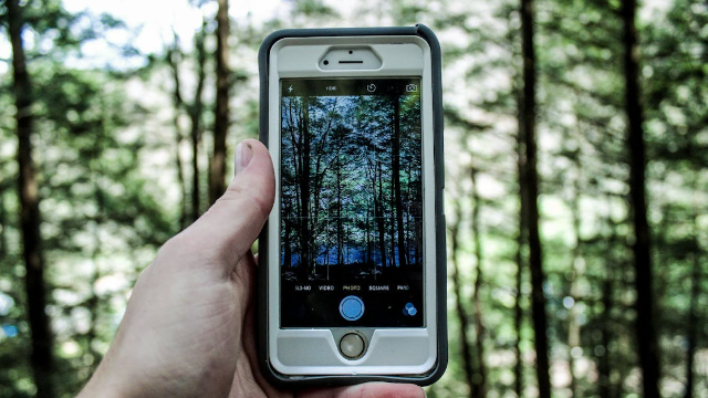 Baumkontrolle mit dem Smartphone – So geht's