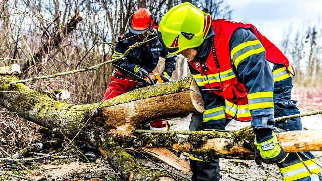 Sturm, Haftung, Baum – Wann haften Kommunen?
